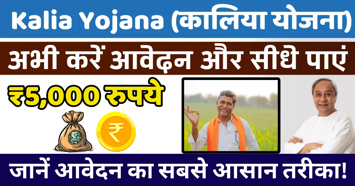 Kalia Yojana 24